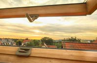 rated East Lydford roof window companies